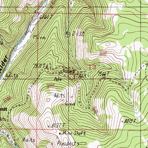 Topographic Map of Little Mine, MT