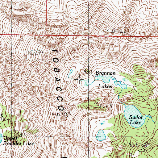 Topographic Map of Brannan Lake Mine, MT