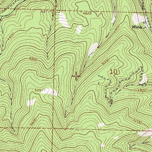 Topographic Map of SW Section 10 Mine, MT