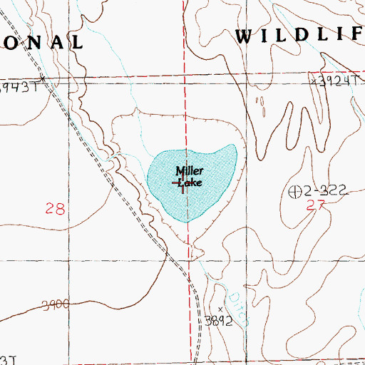 Topographic Map of Miller Lake, MT