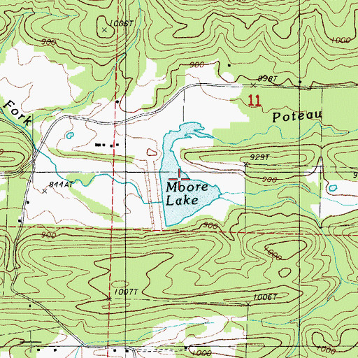 Topographic Map of Moore Lake, AR