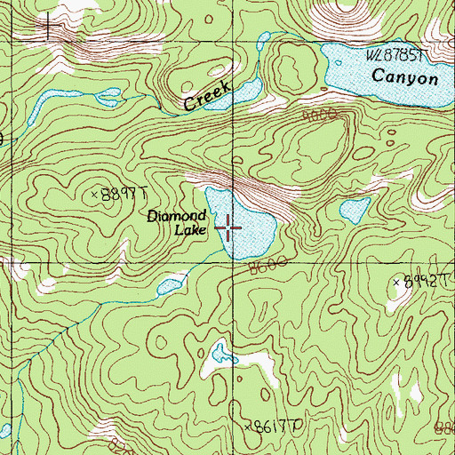 Topographic Map of Diamond Lake, MT