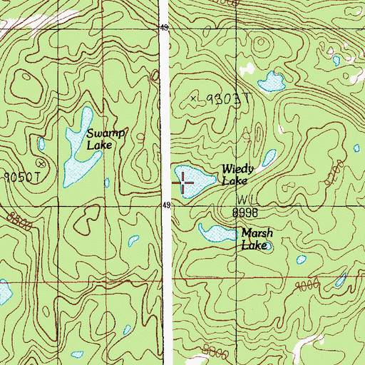Topographic Map of Wiedy Lake, MT