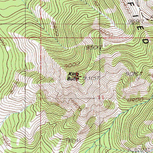 Topographic Map of King Butte, MT