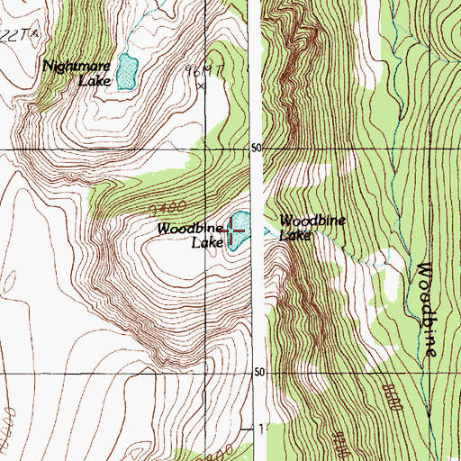 Topographic Map of Woodbine Lake, MT