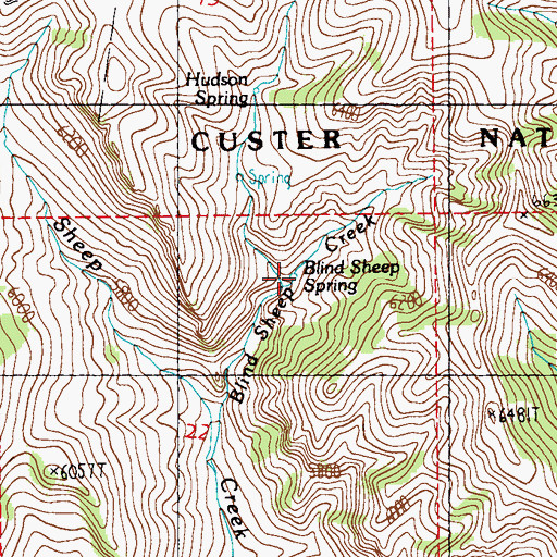 Topographic Map of Blind Sheep Spring, MT