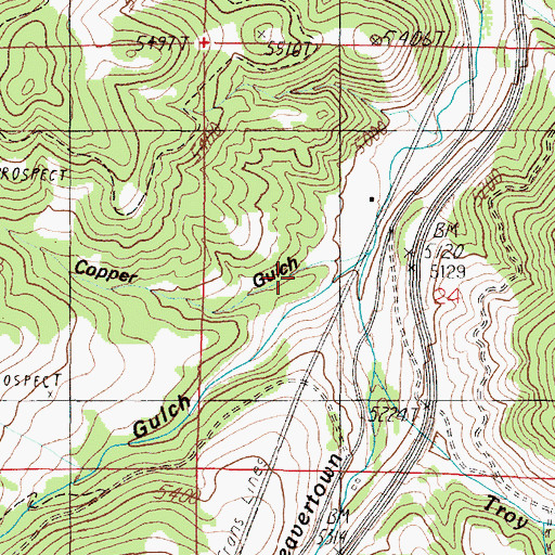 Topographic Map of Copper Gulch, MT