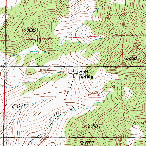 Topographic Map of Burt Spring, MT