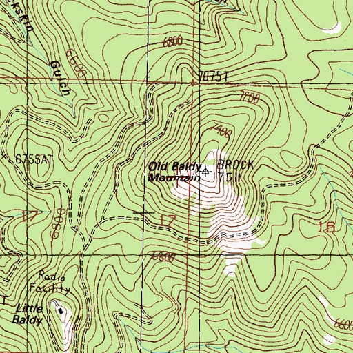 Topographic Map of Old Baldy Mountain, MT