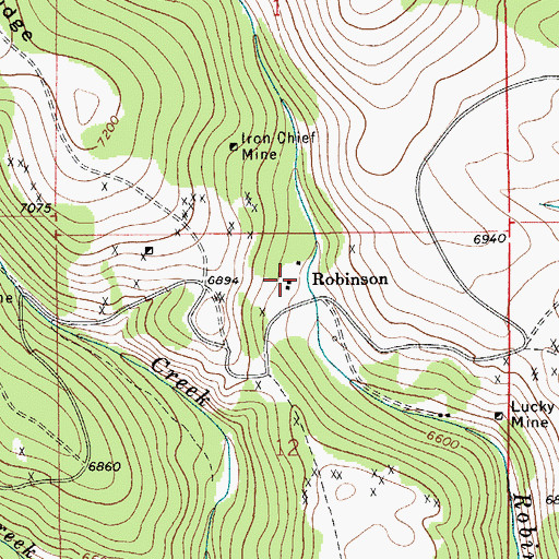 Topographic Map of Robinson, MT
