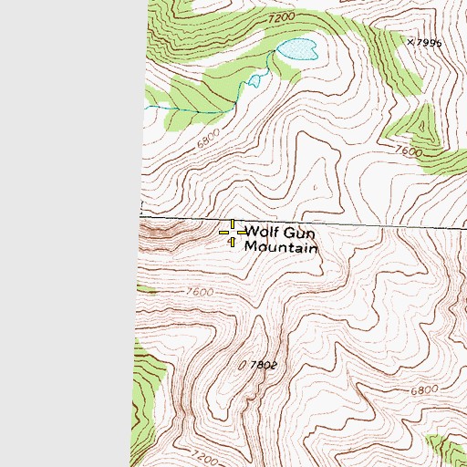Topographic Map of Wolf Gun Mountain, MT