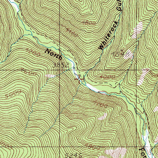 Topographic Map of Whiterock Gulch, MT
