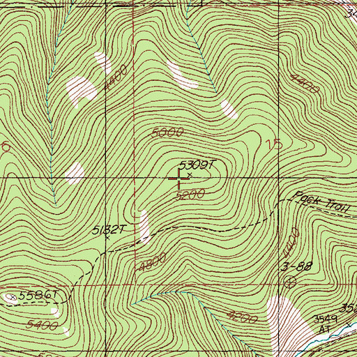 Topographic Map of Petes Point, MT