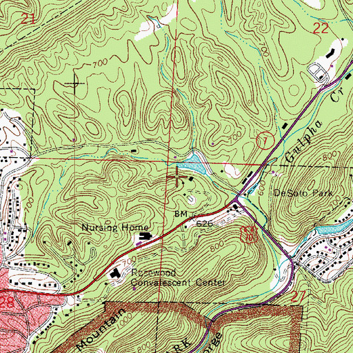 Topographic Map of Ricks Pond, AR