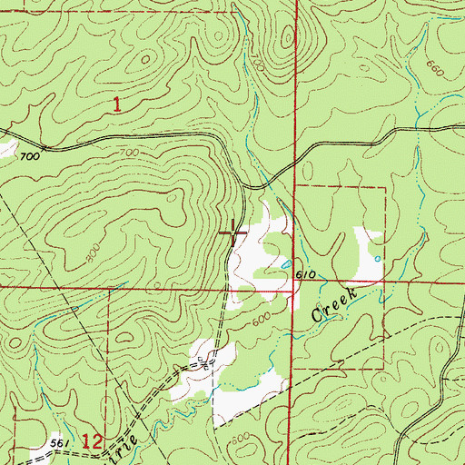 Topographic Map of Stevensons Camp (historical), AR