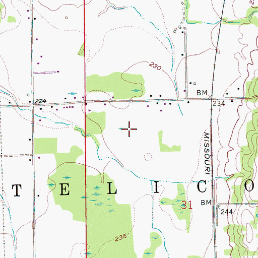 Topographic Map of Township of Telico, AR