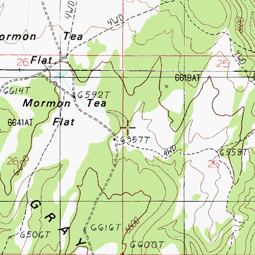 Topographic Map of Mormon Tea Flat, AZ