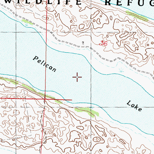 Topographic Map of Pelican Lake, NE