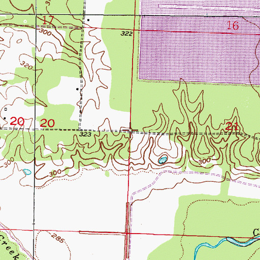 Topographic Map of Pine Prairie Airport (historical), AR