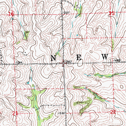 Topographic Map of Township of Newman, NE