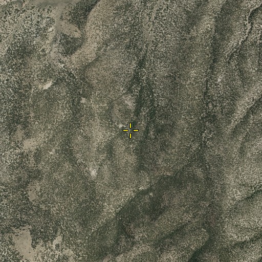 Aerial/Satellite Image of Albert Spring, NV