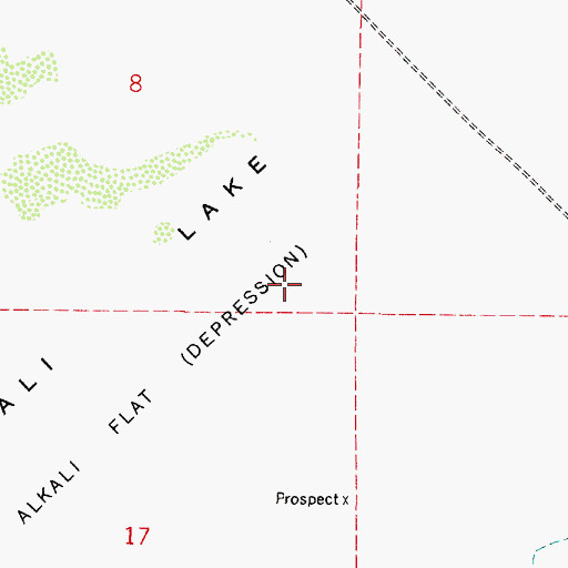 Topographic Map of Alkali Lake, NV