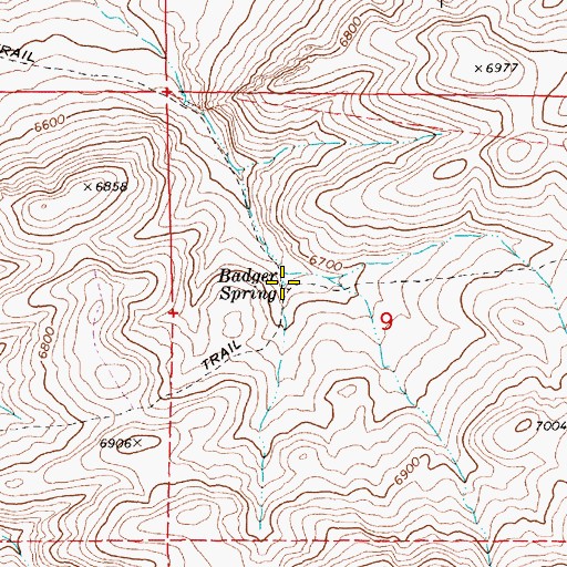 Topographic Map of Badger Spring, NV