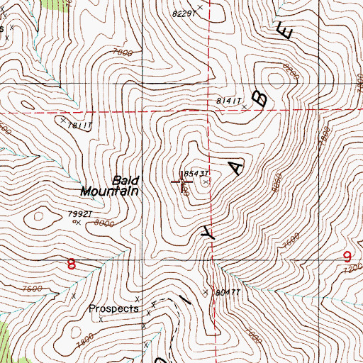 Topographic Map of Bald Mountain, NV