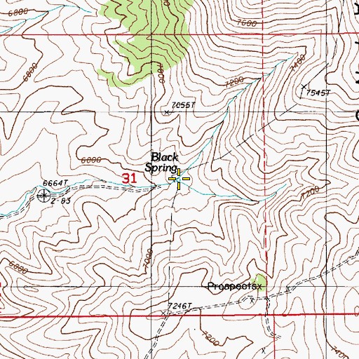 Topographic Map of Black Spring, NV