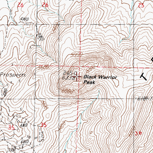 Topographic Map of Black Warrior Peak, NV