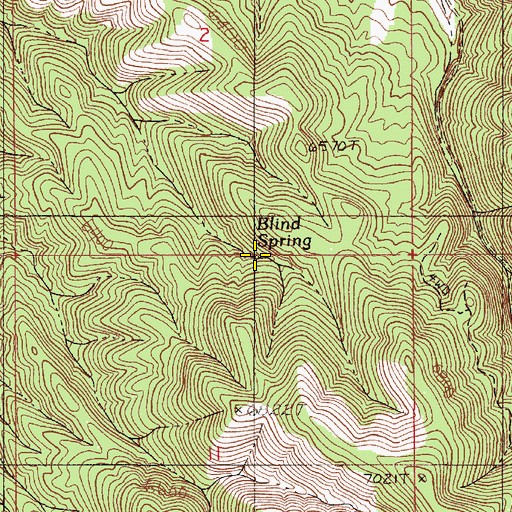 Topographic Map of Blind Spring, NV