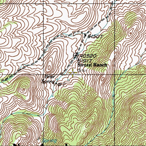 Topographic Map of Brier Spring, NV