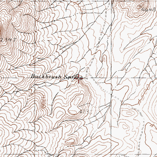 Topographic Map of Buckbrush Spring, NV