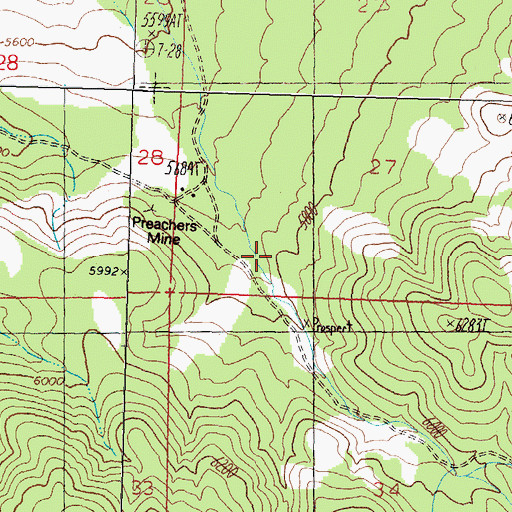 Topographic Map of Buffalo Canyon, NV