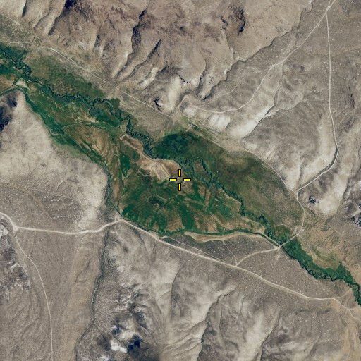 Aerial/Satellite Image of Button Field, NV