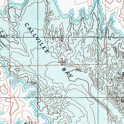 Topographic Map of Callville Bay, NV