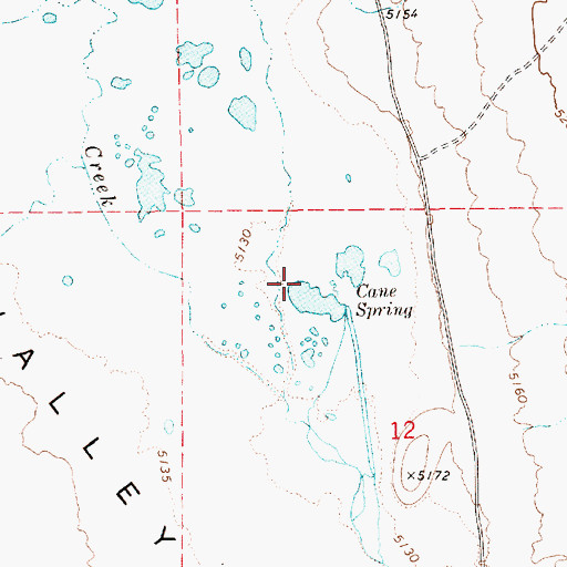 Topographic Map of Cane Spring, NV