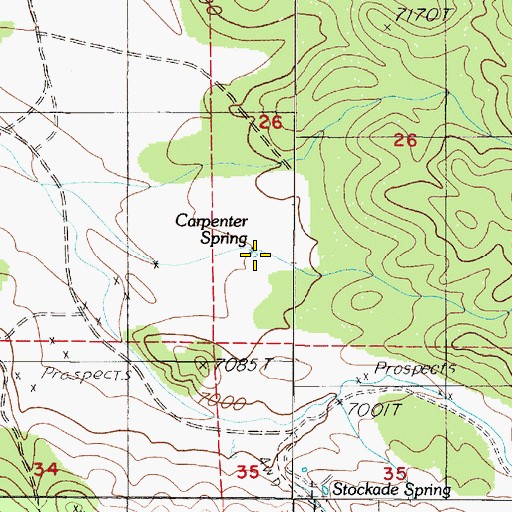 Topographic Map of Carpenter Spring, NV