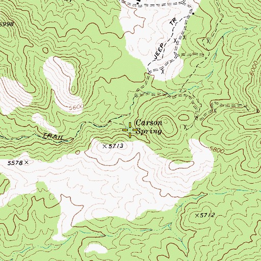 Topographic Map of Carson Spring, NV