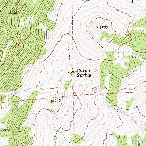 Topographic Map of Carter Spring, NV