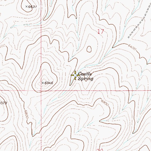 Topographic Map of Castle Spring, NV