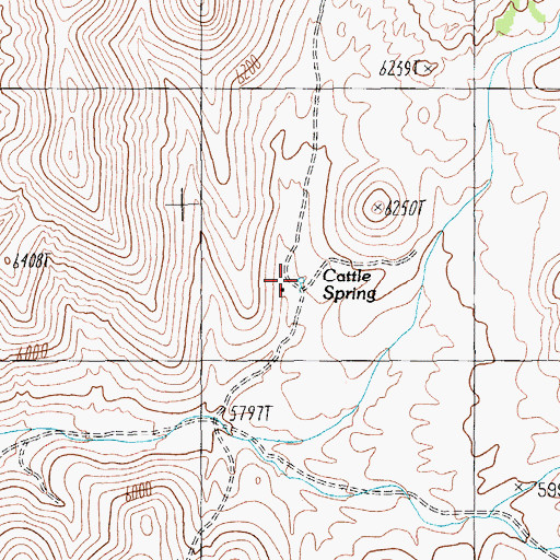 Topographic Map of Cattle Spring, NV