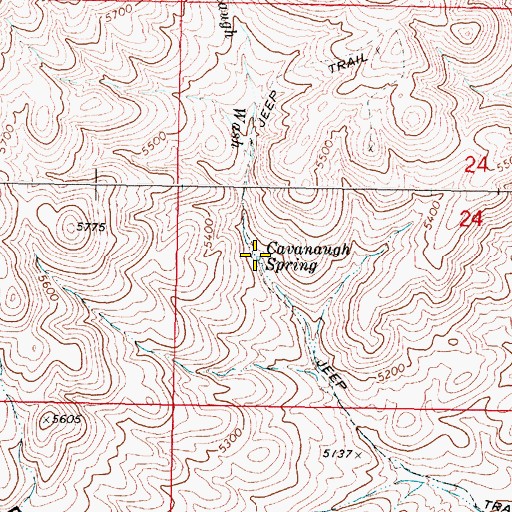 Topographic Map of Cavanaugh Spring, NV