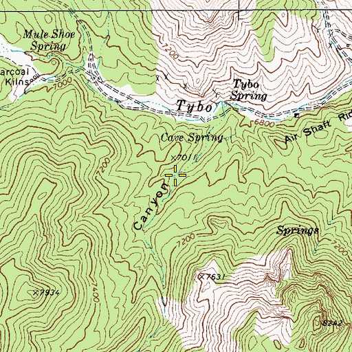 Topographic Map of Cave Spring, NV