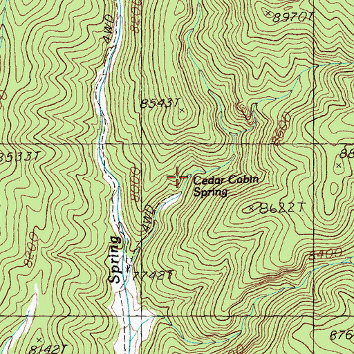 Topographic Map of Cedar Cabin Spring, NV