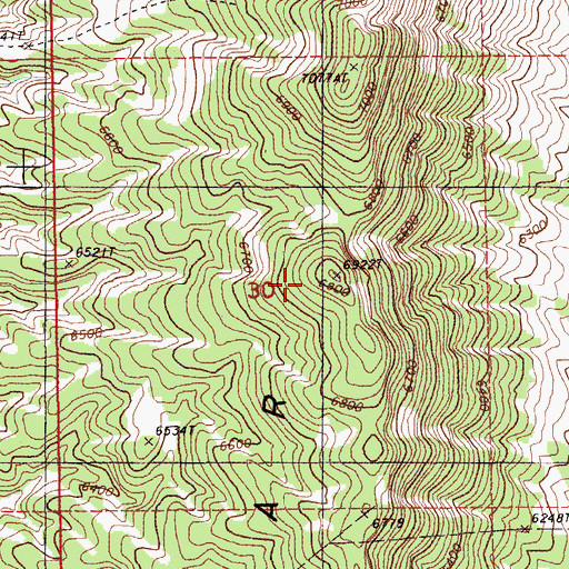 Topographic Map of Cedar Ridge, NV