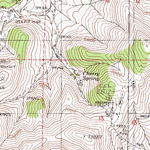 Topographic Map of Cherry Spring, NV