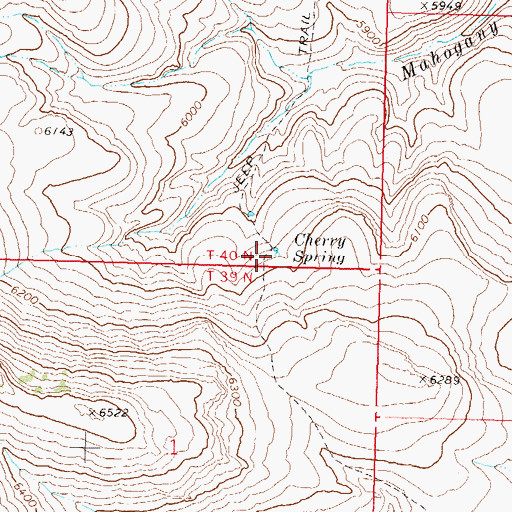 Topographic Map of Cherry Spring, NV