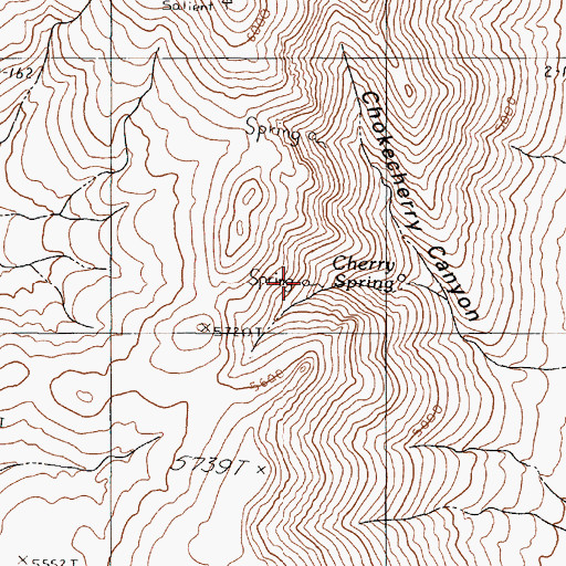 Topographic Map of Cherry Spring, NV