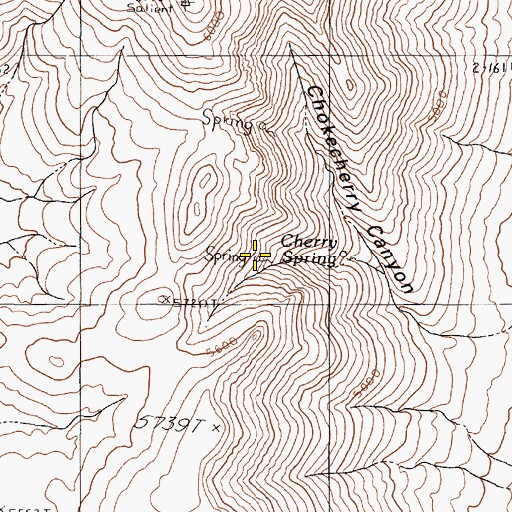 Topographic Map of Cherry Spring, NV